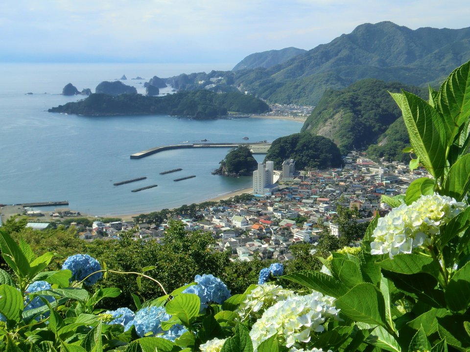 世界の中心で、愛をさけぶ | 牛原山町民の森 Ushibarayama Park — The Hydrangea Hill Where They Kissed