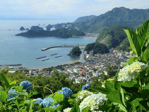 世界の中心で、愛をさけぶ | 牛原山町民の森 Ushiba…