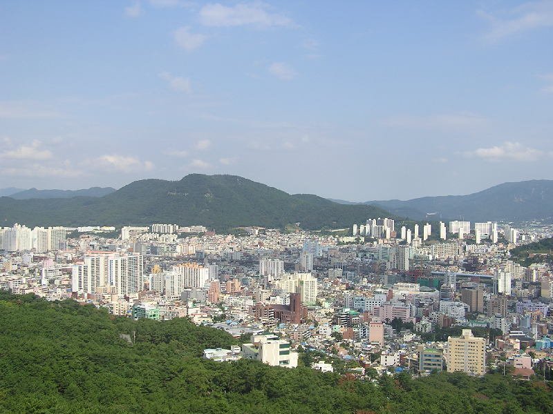 The King: Eternal Monarch | Ahopsan Forest, Gijang — The Private Bamboo That Held the Door