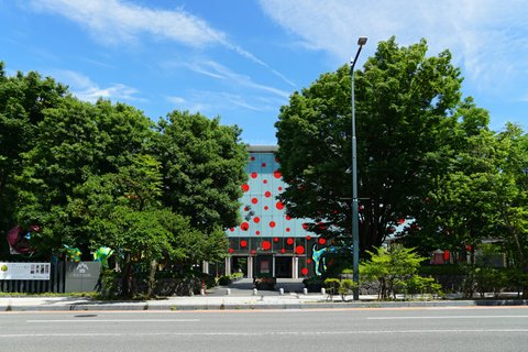 Biography | 草間彌生 Yayoi Kusama…