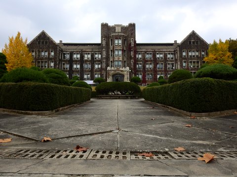 True Beauty | Yonsei Universi…