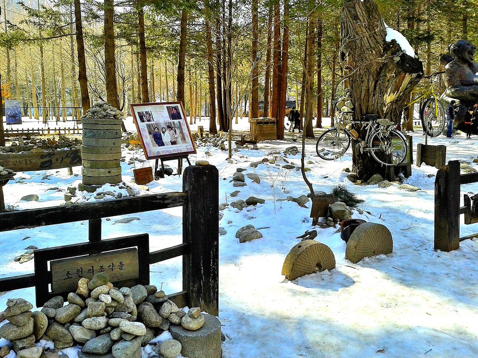 Winter Sonata | Nami Island Metasequoia Lane — Where Hallyu Tourism Began