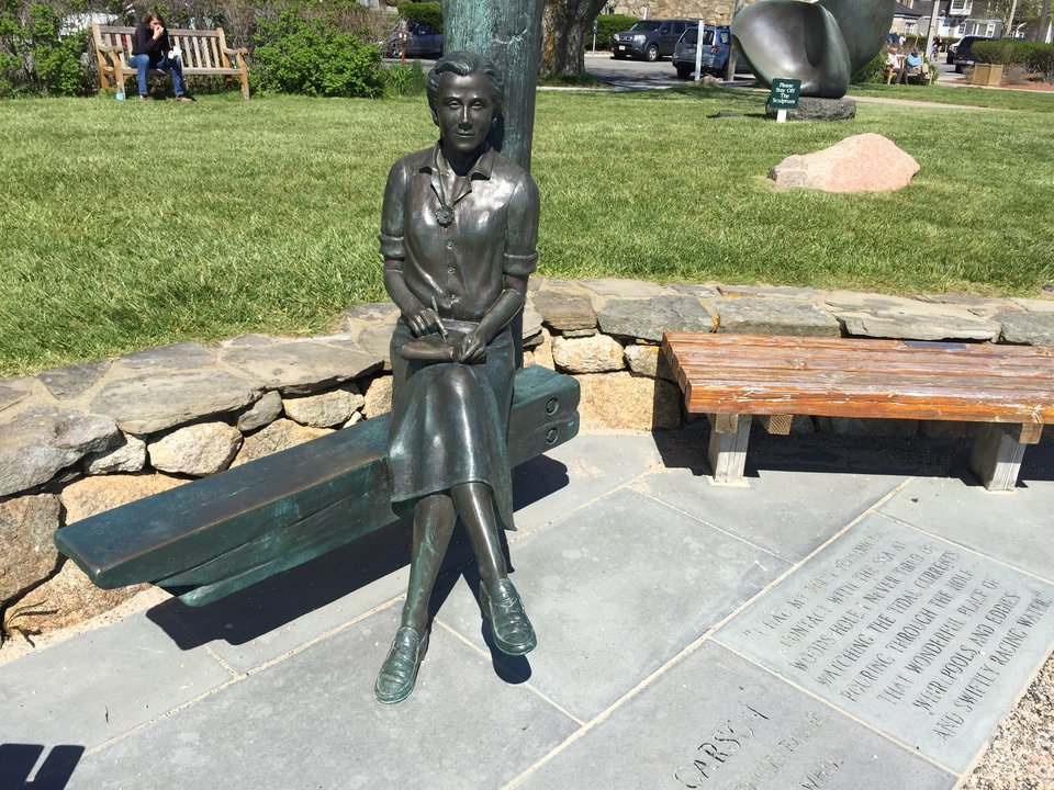 Biography | Rachel Carson — The First Summer She Saw the Tide Run Through the Hole