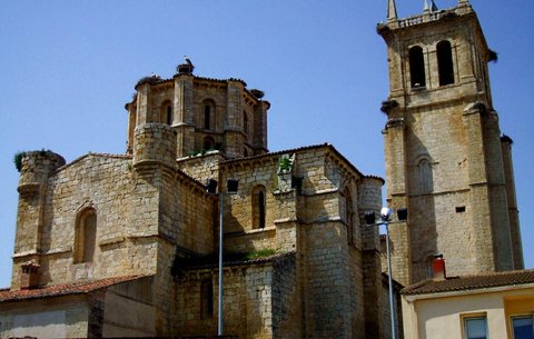 Biography | Adolfo Nicolás — …