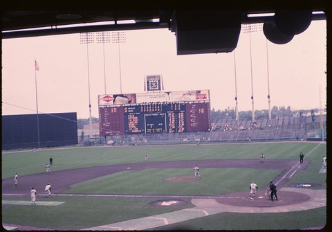 MLB|Home Plate on the Floor o…