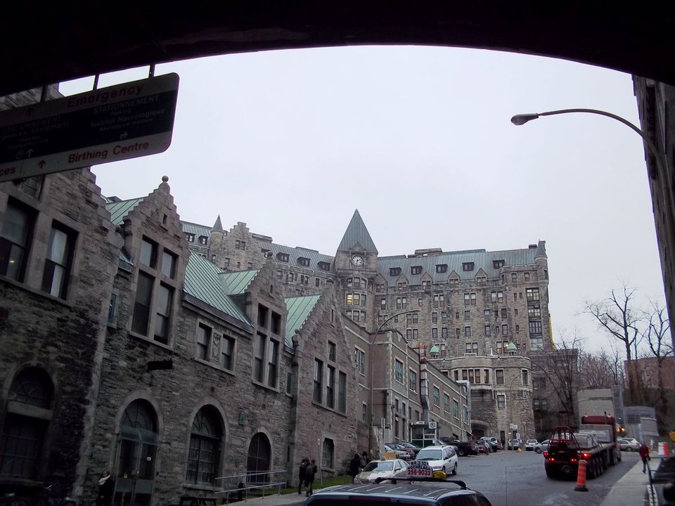 Biography | John McCrae — Appointed Associate in Medicine at This Hospital on the Mountain — photo 2