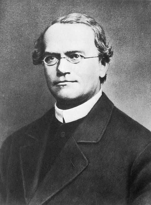 Biography | Gregor Mendel — The First Priest Buried in This New City Cemetery
