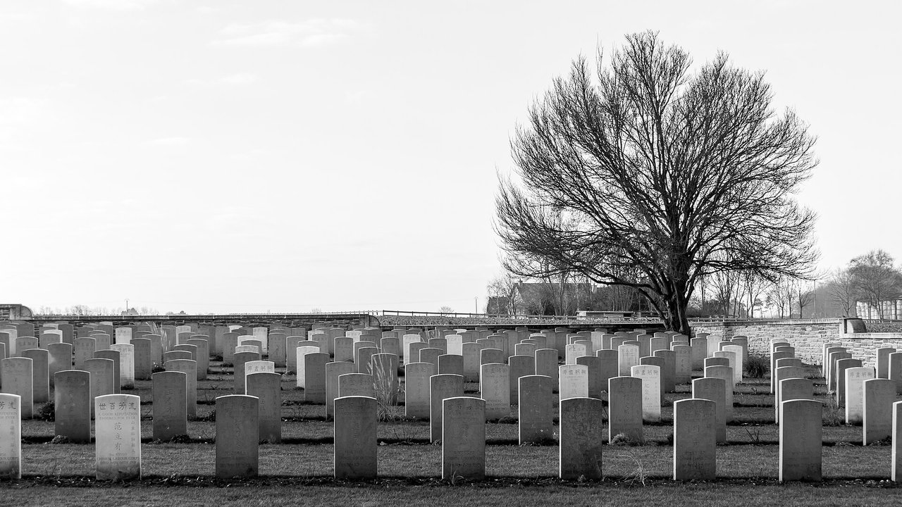 Military History | Cimetière chinois de Nolette — Where a Pine Stands Instead of the Cross — photo 2
