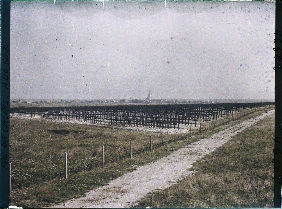 Military History | Deutscher Soldatenfriedhof Neuville-Saint-Vaast — Where France Gathered the German Dead — photo 3
