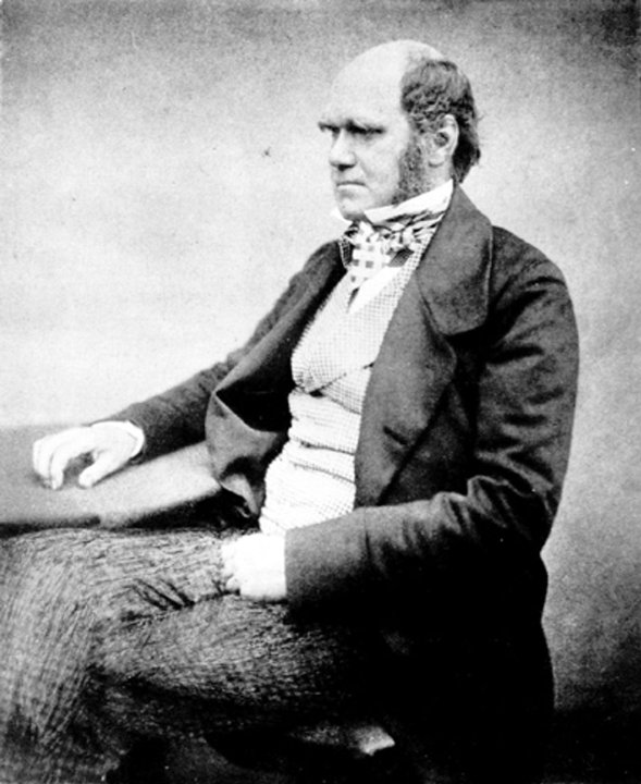 Biography | Charles Darwin — Buried in This Nave, a Few Feet from Newton — photo 2