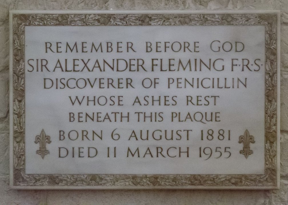 Biography | Alexander Fleming — His Ashes Were Set in This Crypt on 18 March