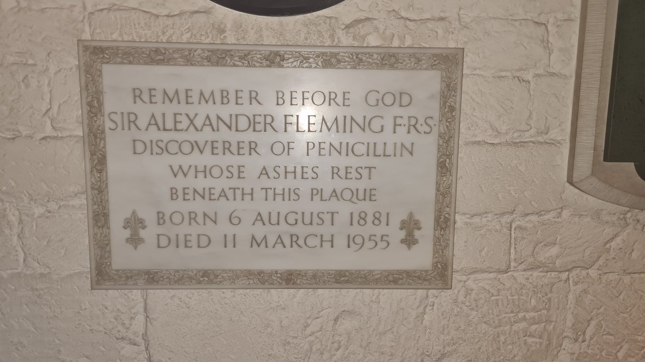 Biography | Alexander Fleming — His Ashes Were Set in This Crypt on 18 March — photo 2