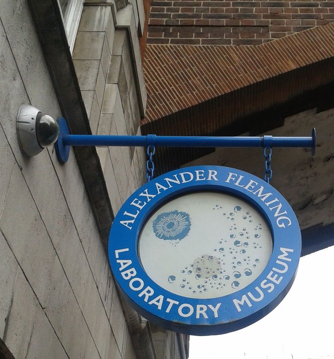 Biography | Alexander Fleming — The Culture Plate He Read in This Lab on 3 September