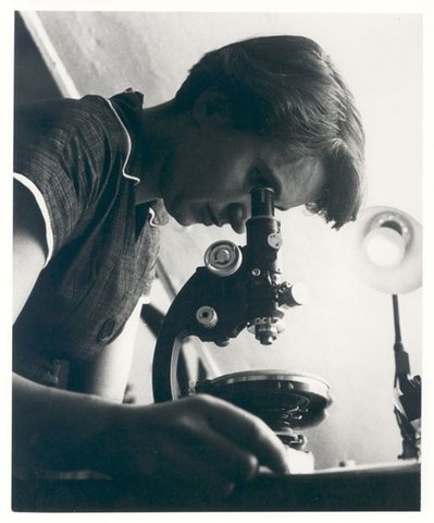 Biography|Rosalind Franklin —…